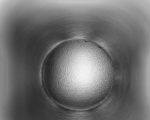 X0000089861423200707051125