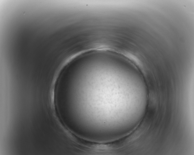 X0000089861424200707051125