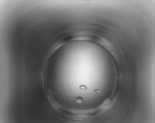 X0000089861425200707051125