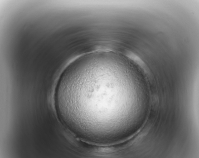 X0000089861427200707051125