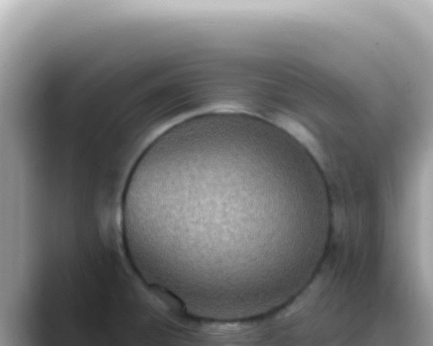 X0000089861428200707051125