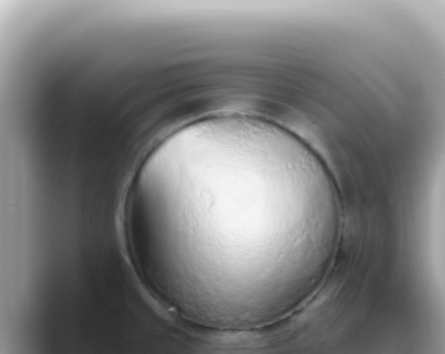 X0000089861429200707051125