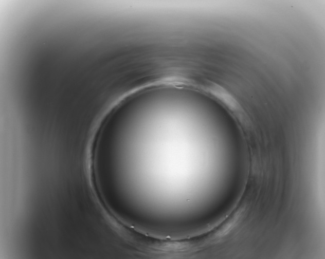 X0000089861430200707051125