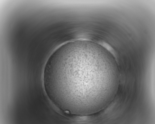 X0000089861431200707051125