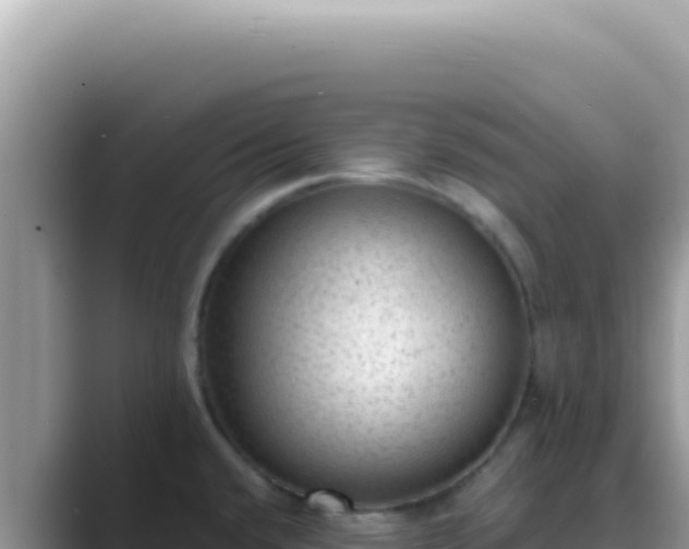 X0000089861432200707051125