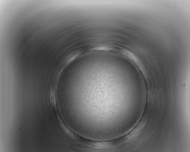 X0000089861433200707051125