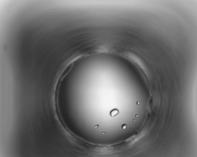 X0000089861434200707051125
