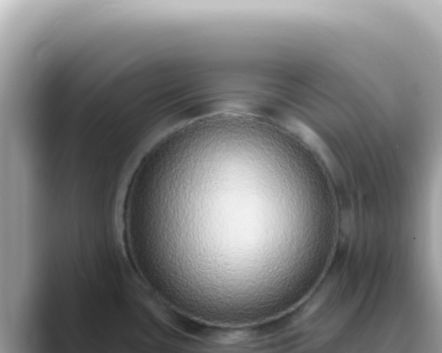 X0000089861435200707051125