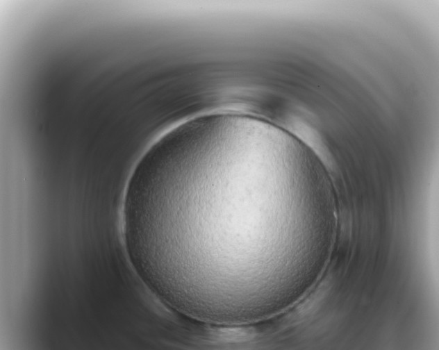 X0000089861436200707051125