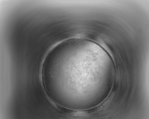 X0000089861437200707051125