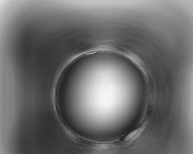 X0000089861438200707051125