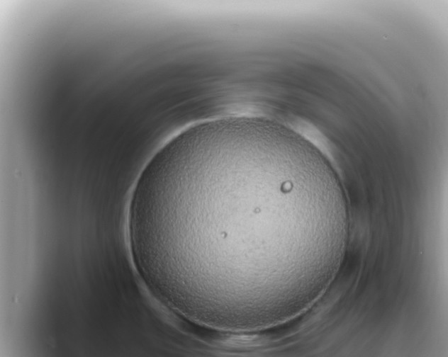 X0000089861439200707051125