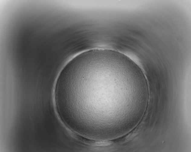 X0000089861440200707051125
