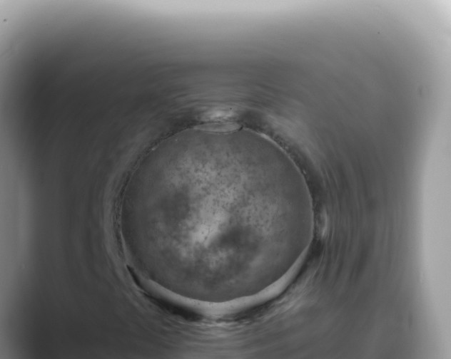 X0000089861441200707051125