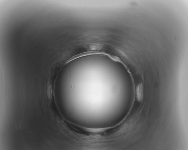 X0000089861443200707051125