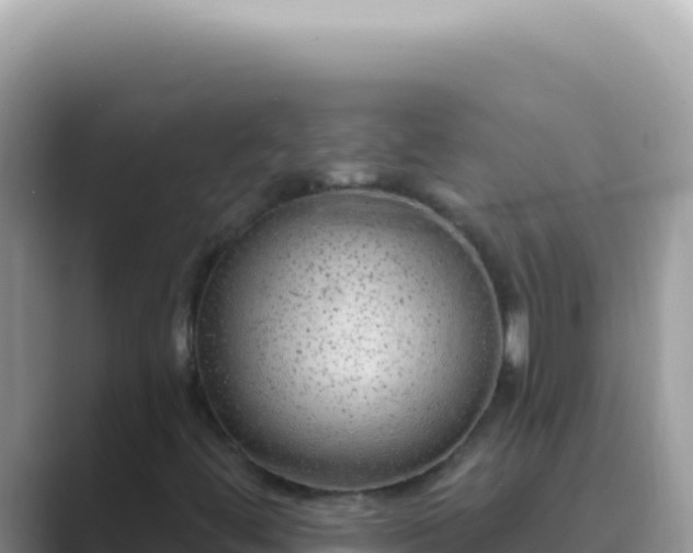 X0000089861444200707051125