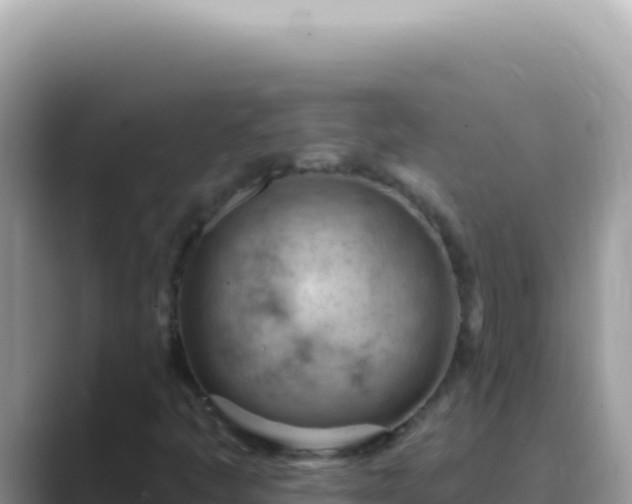 X0000089861445200707051125