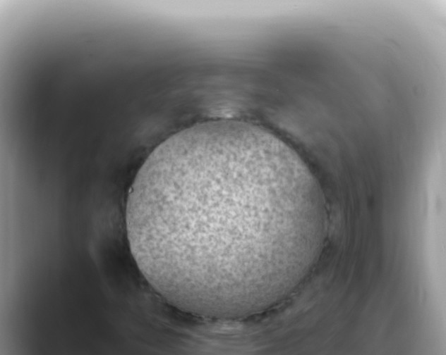 X0000089861446200707051125