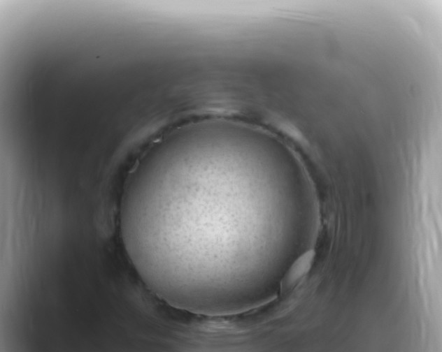 X0000089861448200707051125
