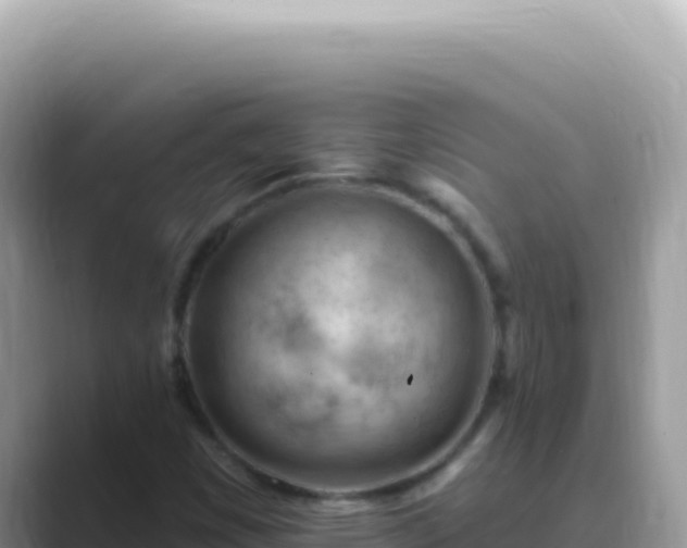 X0000089861449200707051125