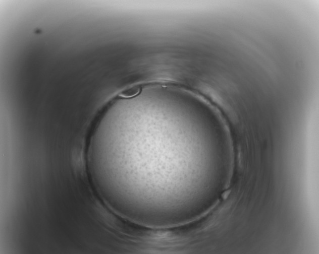 X0000089861452200707051125