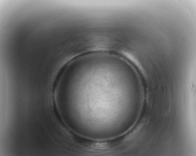 X0000089861453200707051125