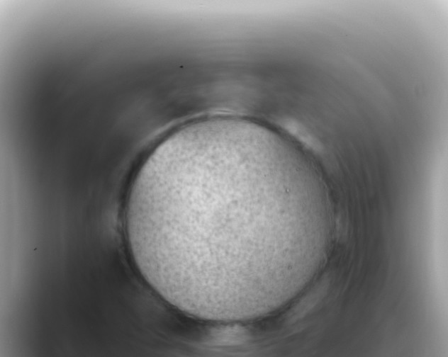 X0000089861454200707051125