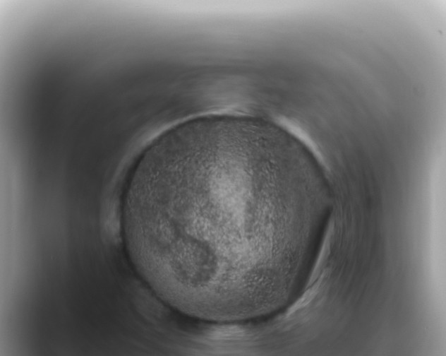 X0000089861455200707051124