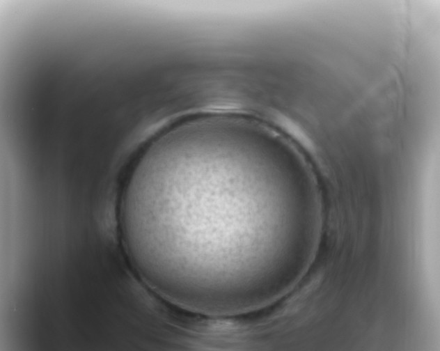 X0000089861456200707051124