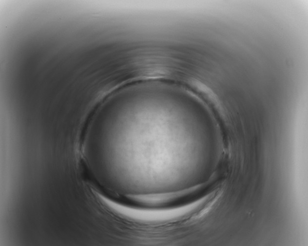 X0000089861457200707051124