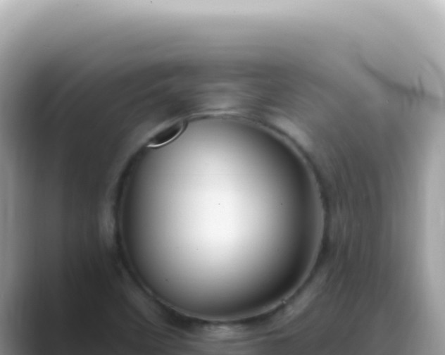 X0000089861458200707051124