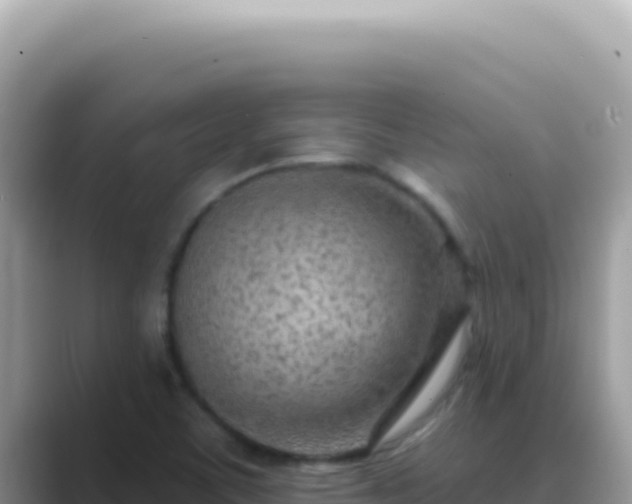 X0000089861459200707051124