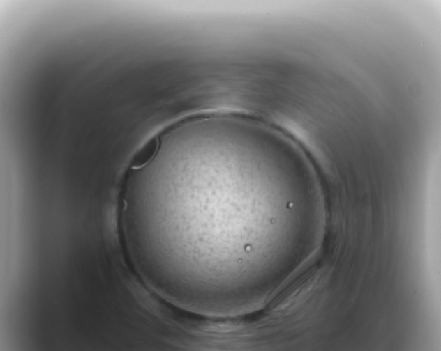 X0000089861460200707051124