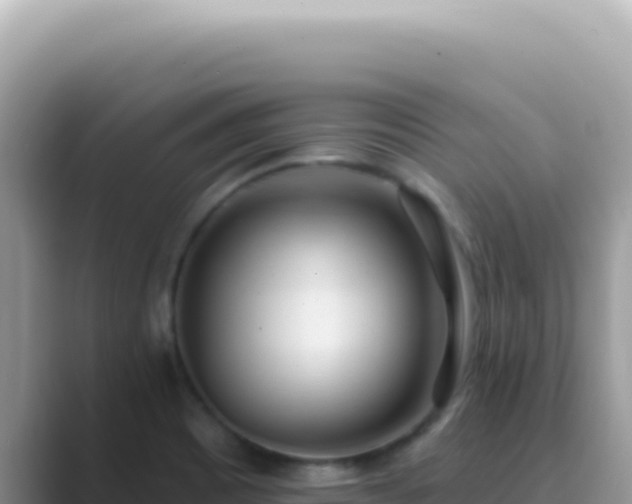 X0000089861465200707051124