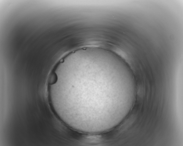 X0000089861466200707051124