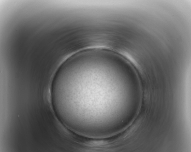 X0000089861468200707051124