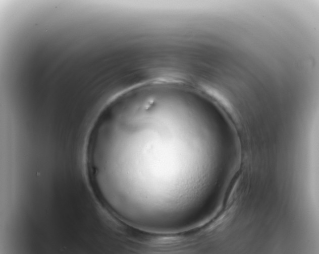 X0000089861471200707051124