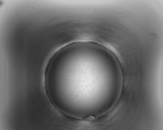 X0000089861472200707051124
