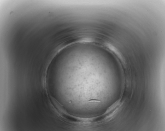 X0000089861473200707051124
