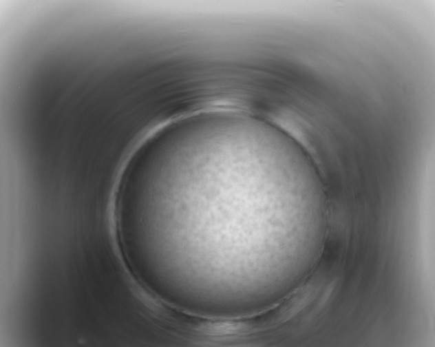 X0000089861474200707051124