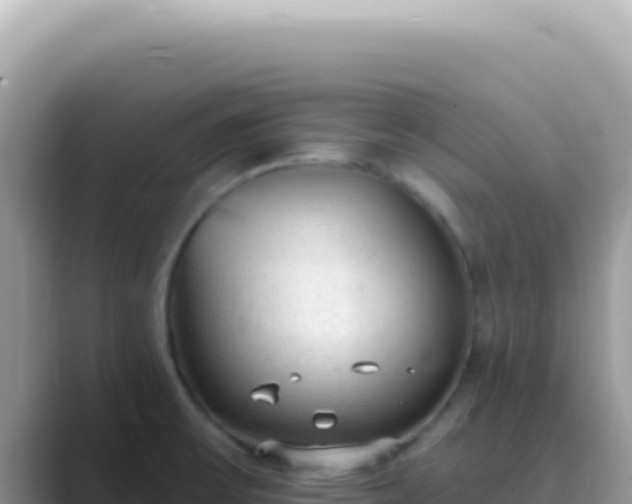 X0000089861475200707051124