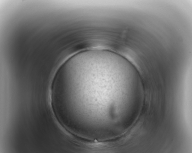 X0000089861476200707051124
