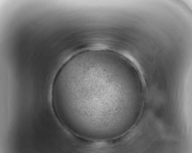 X0000089861477200707051124