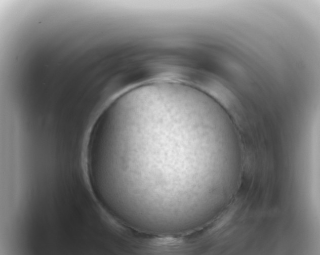 X0000089861478200707051124