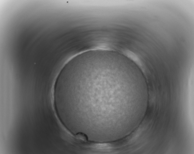 X0000089861479200707051124