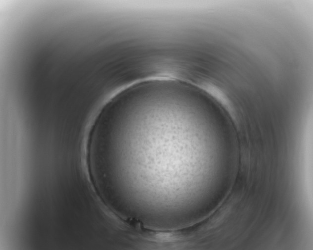 X0000089861480200707051124