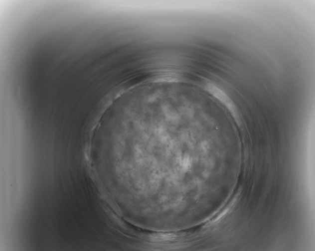 X0000089861481200707051124