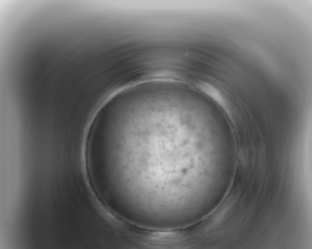 X0000089861482200707051124