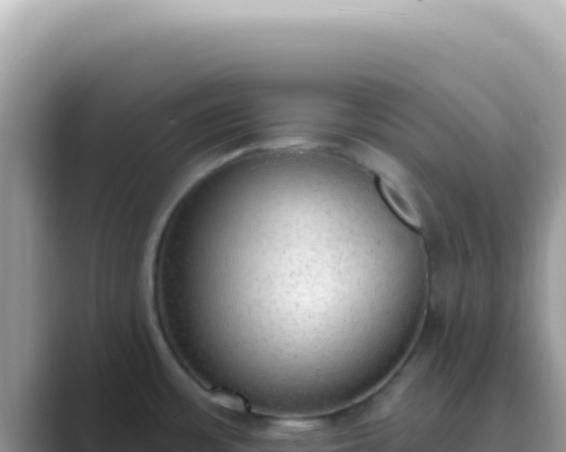 X0000089861483200707051124