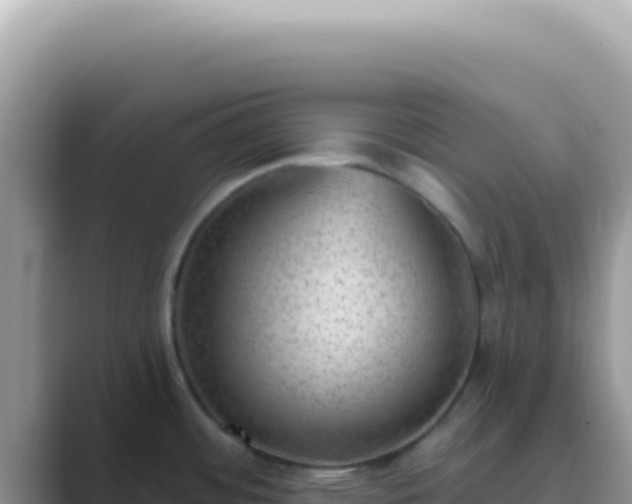 X0000089861484200707051124
